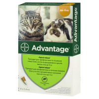 Краплі від бліх Bayer Advantage 40 для котів і кошенят менше 4 кг, ціна за 1 піпетку Краплі від бліх Bayer Advantage 40 для котів і кошенят менше 4 кг, ціна за 1 піпетку