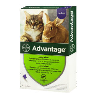 Капли от блох Bayer Advantage 80 для кошек свыше 4 кг, цена за 1 пипетку Капли от блох Bayer Advantage 80 для кошек свыше 4 кг, цена за 1 пипетку