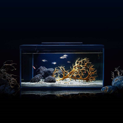 Акваріум Petkit Smart Fish Tank The Stone Park, 10 л