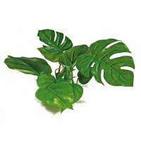 Растение аквариумное Amtra Replica anubias искусственное, для аквариумов, 15 см Растение аквариумное Amtra Replica anubias искусственное, для аквариумов, 15 см