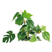 Рослина акваріумна Amtra Replica anubias штучна, для акваріумів, 30 см Рослина акваріумна Amtra Replica anubias штучна, для акваріумів, 30 см