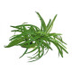 Рослина акваріумна Amtra Replica dracena штучна, для акваріумів, 25 см