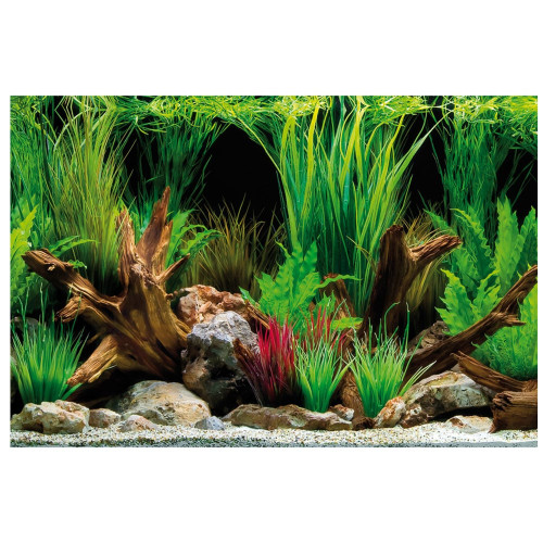 Фон для акваріума Amtra Wonder двосторонній, рулон, 60 см × 15 м
