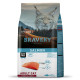 Сухий корм Bravery Salmon Adult Cat Sterilized для дорослих стерилізованих котів, з лососем, 600 г