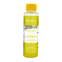 Шампунь Iv San Bernard Ginger and Elderberry, дезинфицирующий, с бузиной и имбирем, 100 мл