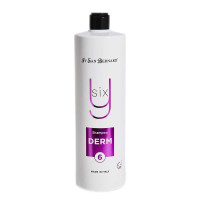 Шампунь Iv San Bernard Derm Shampoo Y6Y для поврежденной кожи, 1 л Шампунь Iv San Bernard Derm Shampoo Y6Y для поврежденной кожи, 1 л