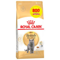 Сухой корм Royal Canin British Shorthair Adult для британских короткошерстных кошек, 3.2 кг + 800 г в подарок Сухой корм Royal Canin British Shorthair Adult для британских короткошерстных кошек, 3.2 кг + 800 г в подарок