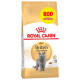 Сухий корм Royal Canin British Shorthair Adult для британських короткошерстих котів, 3.2 кг + 800 г у подарунок