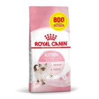 Сухий корм Royal Canin Kitten для кошенят від 4 до 12 місяців, 3.2 кг + 800 г у подарунок