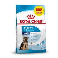 Сухой корм Royal Canin Maxi Puppy для щенков крупных пород с 2 до 15 месяцев, 3.2 кг + 800 г в подарок Сухой корм Royal Canin Maxi Puppy для щенков крупных пород с 2 до 15 месяцев, 3.2 кг + 800 г в подарок