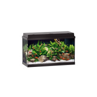 Аквариум Juwel Primo прямой, 110 LED, 81×45×36 см, 110 л Аквариум Juwel Primo прямой, 110 LED, 81×45×36 см, 110 л