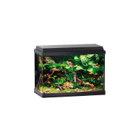Аквариум Juwel Primo 70 LED, прямой, черный, 61×44×31 см, 70 л Аквариум Juwel Primo 70 LED, прямой, черный, 61×44×31 см, 70 л
