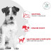 Сухий корм Royal Canin Glycobalance Small для собак малих порід, при цукровому діабеті, 1.5 кг