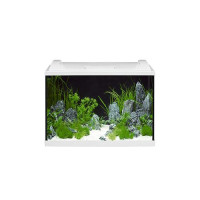 Аквариумный комплект EHEIM aquapro LED 84, 12 Вт, белый (60x40x35, 84л)