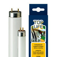 Люмінесцентна лампа Ferplast Toplife 39 W Lamp T5 для акваріумів з прісною і морською водою, 85 см Люмінесцентна лампа Ferplast Toplife 39 W Lamp T5 для акваріумів з прісною і морською водою, 85 см