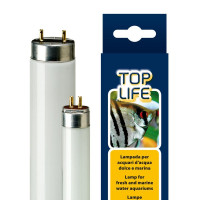 Люминесцентная лампа Ferplast Aquasky 54 W Lamp T5 для аквариумов с пресной и морской водой, 115 см Люминесцентная лампа Ferplast Aquasky 54 W Lamp T5 для аквариумов с пресной и морской водой, 115 см