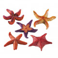 Декорація з поліуретану Ferplast BLU 9158 Starfish Small для акваріумів морські зірки, маленькі 9x9x2 см