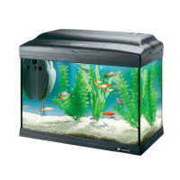 Стеклянный аквариум Ferplast Cayman 40 Classic с лампой и внутренним фильтром, 21 л Стеклянный аквариум Ferplast Cayman 40 Classic с лампой и внутренним фильтром, 21 л