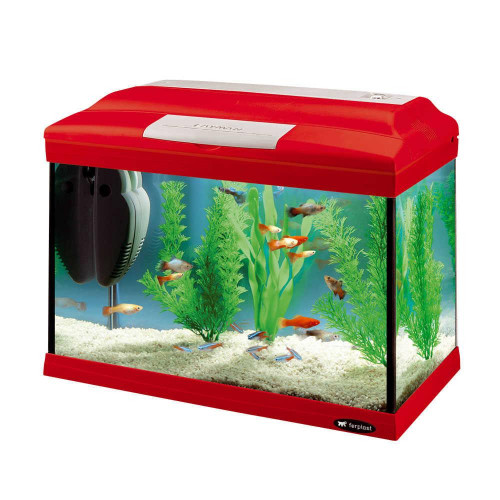 Стеклянный аквариум Ferplast Cayman 40 Colours с лампой и внутренним фильтром, 21 л