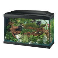 Стеклянный аквариум Ferplast Cayman 80 Professional Black T5 с лампами, внутренним фильтром и таймером, 120 л Стеклянный аквариум Ferplast Cayman 80 Professional Black T5 с лампами, внутренним фильтром и таймером, 120 л