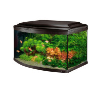 Аквариум с закругленным стеклом Ferplast Cayman 80 Scenic Black T5 с, внутренним фильтром и таймером, 150 л Аквариум с закругленным стеклом Ferplast Cayman 80 Scenic Black T5 с, внутренним фильтром и таймером, 150 л