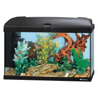 Аквариум стекляный Ferplast Capri 60 Black с LED-освещением, черный, 60 л Аквариум стекляный Ferplast Capri 60 Black с LED-освещением, черный, 60 л