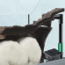 Синтетичне волокно Ferplast Blufibre 100G для механічного очищення води в акваріумах і черепашатніках