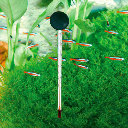 Стеклянный термометр Ferplast BLU 6811 Thermometer для аквариумов