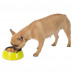 Ferplast Jolie Small Black Bowl металлическая миска для собак и кошек, 17,1 см