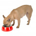 Ferplast Jolie Small Red Bowl металева миска для собак і кішок, 17,1 см