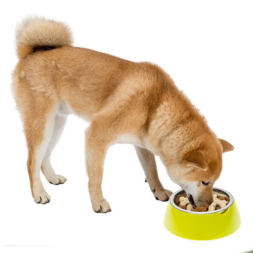 Ferplast Jolie Large Green Bowl металлическая миска для собак и кошек, 23 см