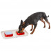 Ferplast Glam Tray Extra Small Dove Grey пастіковий піднос з мисками Glam 400 мл, сірий, 40x23x4,5 см