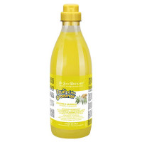 Шампунь для тварин Iv San Bernard Ginger and Elderberry, 30 мл. Шампунь для тварин Iv San Bernard Ginger and Elderberry, 30 мл.