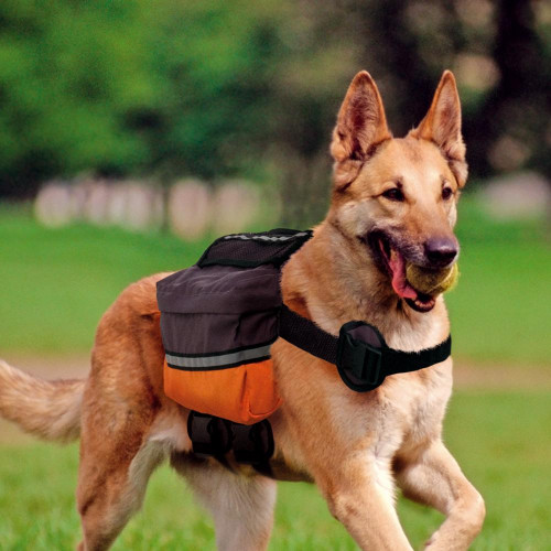 Вьючная сумка Ferplast Dog Scout для собак