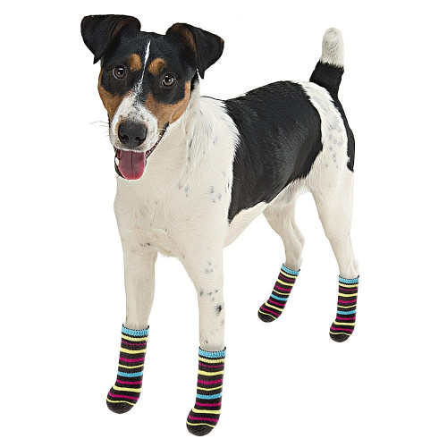 Носки Ferplast Pet Socks Antislip Small с антискользящей подошвой, для собак, разноцветные, 6.5×2.5×0.8 см