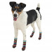 Носки Ferplast Pet Socks Antislip Small с антискользящей подошвой, для собак, разноцветные, 6.5×2.5×0.8 см