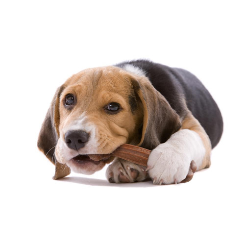 Жувальна іграшка Ferplast GoodBite Natural Beef Bone L для собак, 17x5,5x2,6 см