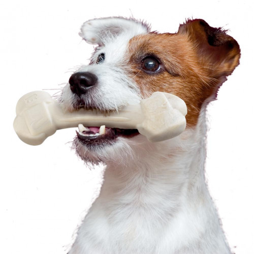 Жевательная игрушка Ferplast GoodBite Natural Salmon Bone L для собак, 17x5,5x2,6 см