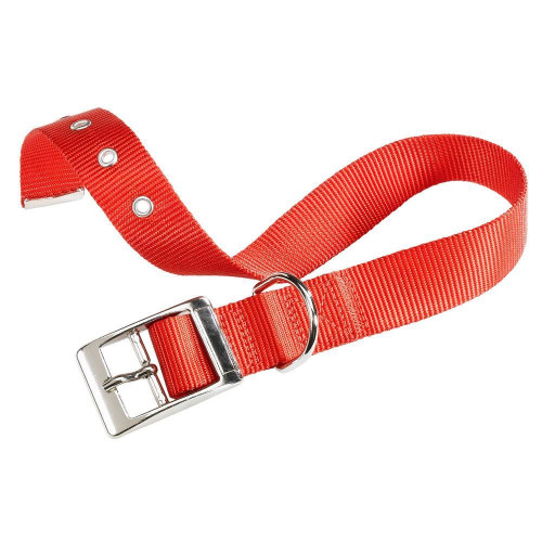 Нейлоновий нашийник Ferplast Club CF15 / 35 Red для собак, червоний, 27x35 см