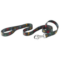 Нейлоновий поводок Ferplast Club G25 / 120 Cirus для собак, 25 мм, 120 см Нейлоновий поводок Ferplast Club G25 / 120 Cirus для собак, 25 мм, 120 см