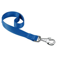 Нейлоновый поводок Ferplast Club GM25/45 Blue для собак, синий, 25 мм, 45 см Нейлоновый поводок Ferplast Club GM25/45 Blue для собак, синий, 25 мм, 45 см