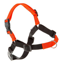 Шлейка Ferplast Coach P L Harness Orange для дрессировки, A: 33x43 см, B: 64x91 см Шлейка Ferplast Coach P L Harness Orange для дрессировки, A: 33x43 см, B: 64x91 см