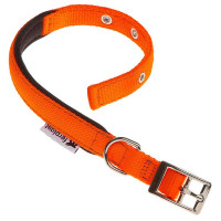 Нейлоновый ошейник Ferplast Daytona C25/53 Orange для собак, оранжевый, A: 45x53 см, B: 25 мм