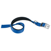 Нейлоновий нашийник Ferplast Daytona C40 / 63 Blue для собак, синій, A: 55x63 см, B: 40 мм Нейлоновий нашийник Ferplast Daytona C40 / 63 Blue для собак, синій, A: 55x63 см, B: 40 мм