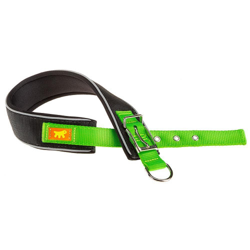 Нейлоновий нашийник Ferplast Daytona Comfort CF40 / 45 Green для собак, зелений, A: 37x45 см, B: 40 мм