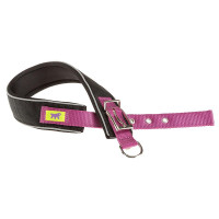 Нейлоновый ошейник Ferplast Daytona Comfort CF40/45 Purple для собак, фиолетовый, A: 37x45 см, B: 40 мм Нейлоновый ошейник Ferplast Daytona Comfort CF40/45 Purple для собак, фиолетовый, A: 37x45 см, B: 40 мм