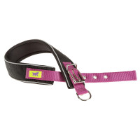 Нейлоновий нашийник Ferplast Daytona Comfort CF40 / 60 Purple для собак, фіолетовий, A: 52x60 см, B: 40 мм Нейлоновий нашийник Ferplast Daytona Comfort CF40 / 60 Purple для собак, фіолетовий, A: 52x60 см, B: 40 мм