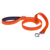 Нейлоновий поводок Ferplast Daytona G25 / 120 Orange для собак, 25 мм 120 см Нейлоновий поводок Ferplast Daytona G25 / 120 Orange для собак, 25 мм 120 см