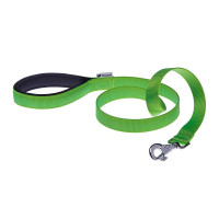 Нейлоновий поводок Ferplast Daytona G25 / 120 Green для собак, 25 мм 120 см Нейлоновий поводок Ferplast Daytona G25 / 120 Green для собак, 25 мм 120 см