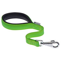 Нейлоновый поводок Ferplast Daytona GM25/45 Green для собак, 25 мм, 45 см Нейлоновый поводок Ferplast Daytona GM25/45 Green для собак, 25 мм, 45 см